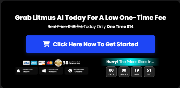 Litmus AI pricing